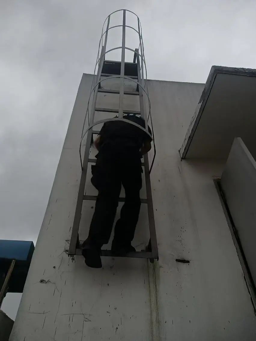 C:/Users/BA/Desktop/風(fēng)雨過后南京保安迅速行動，恢復(fù)安“寧”面貌/3.jpg3